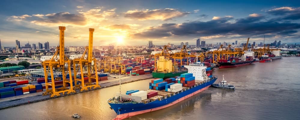 Trump Teases Escorts and Offers Insurance