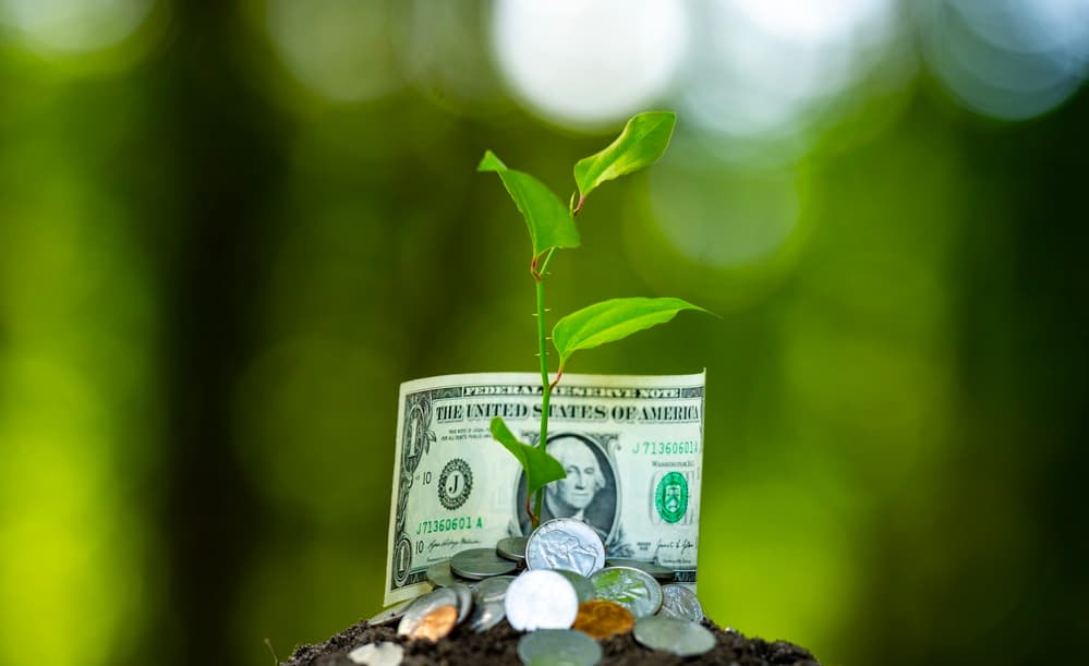 Fertilizer Sows Inflation